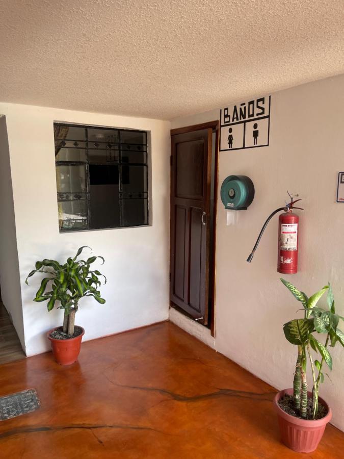 El Jardin Escondido Party Hostel Baños Екстериор снимка
